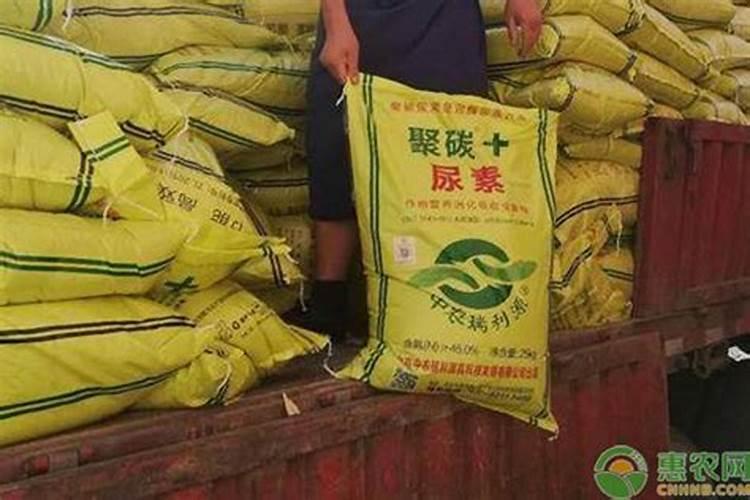 尿素施肥后多久见效 尿素的肥效期是多少天