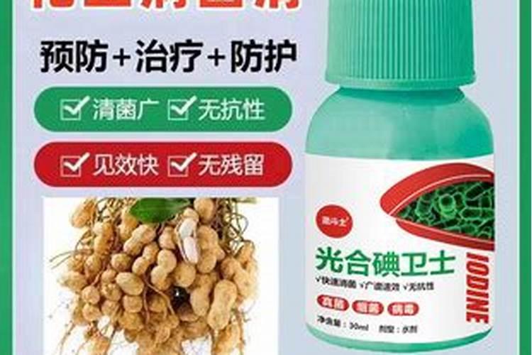 花生叶斑病用什么杀菌剂好