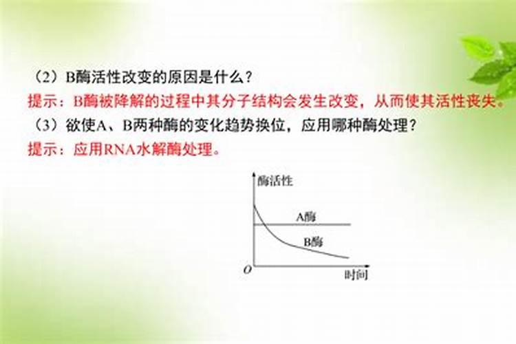 草莓什么时候开始用冲施肥