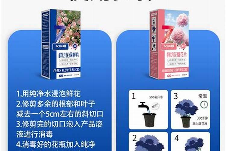 大花蕙兰鲜切花养护方法