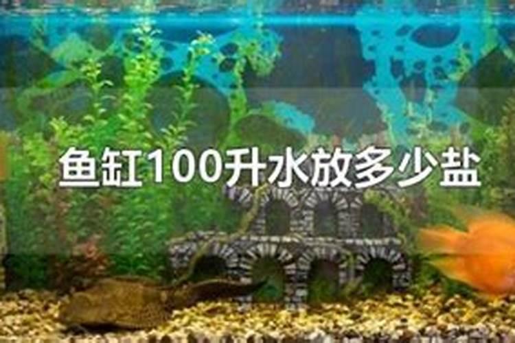 种植番茄想增产需要掌握哪些施肥技巧 番茄怎么施肥