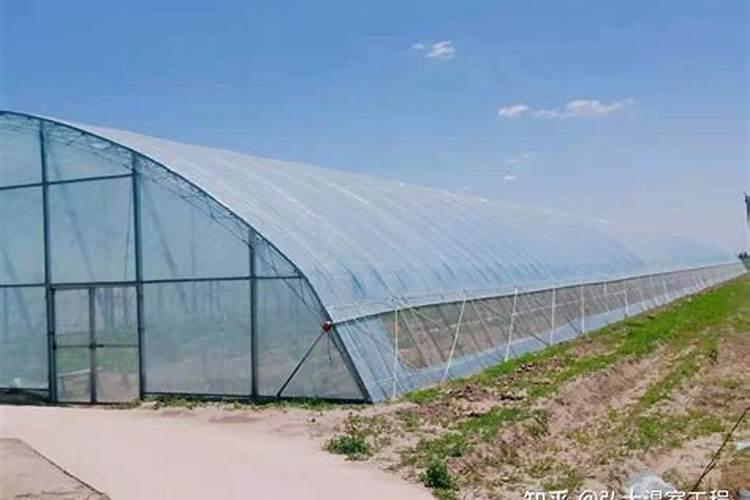 寿光蔬菜价格(探究中国蔬菜市场的新现象)