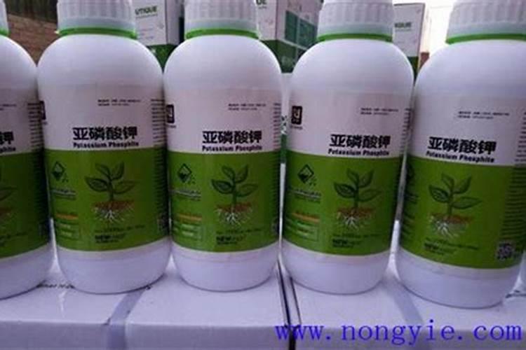 使用亚磷酸钾有什么注意事项