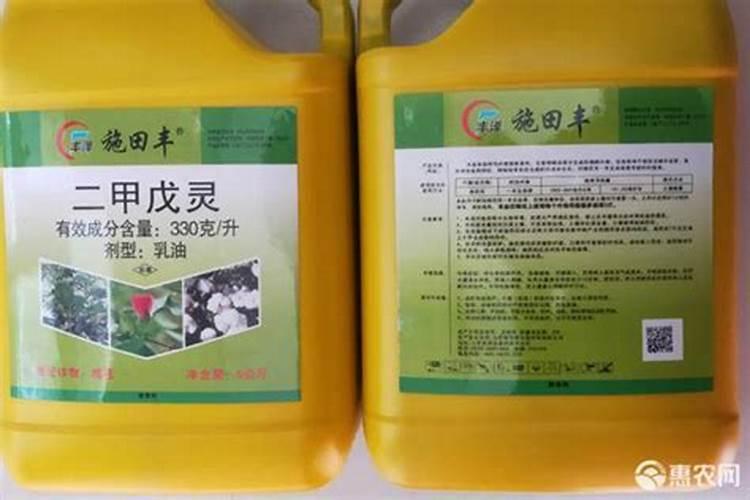 种韭菜如何进行施肥和日常管理？