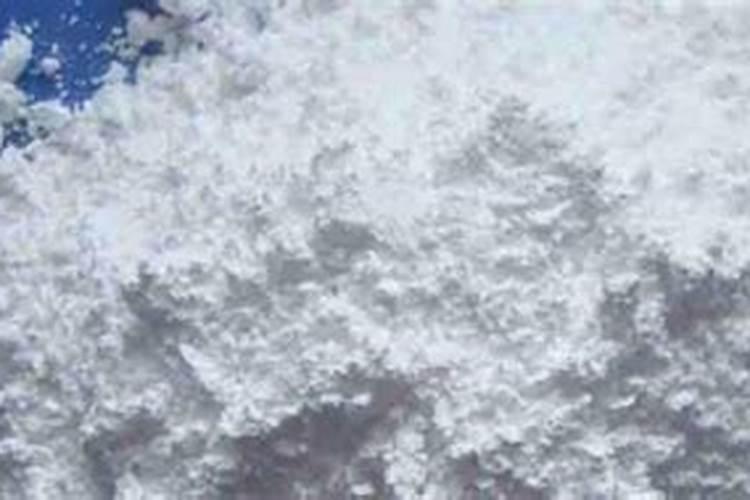 单纯控旺方面,亚磷酸钾,烯磷酸钾哪个好？