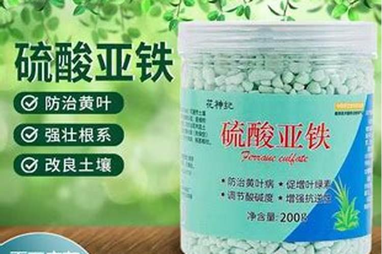 铁树施什么肥