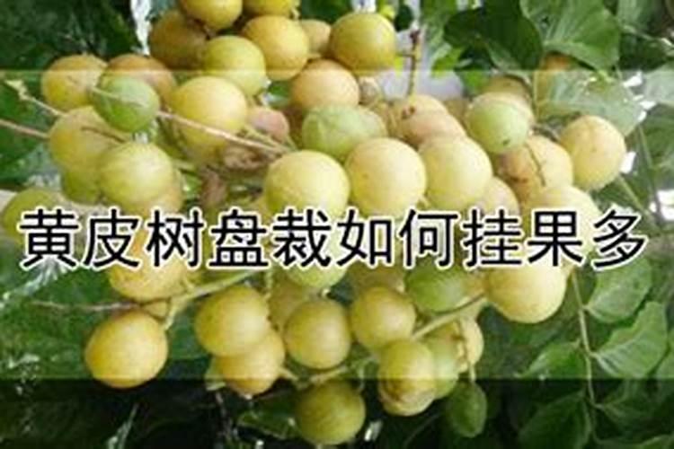 硫酸钾几天见效