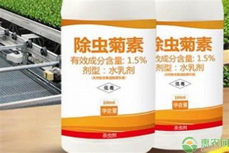 苹果树焦叶!叶子干边