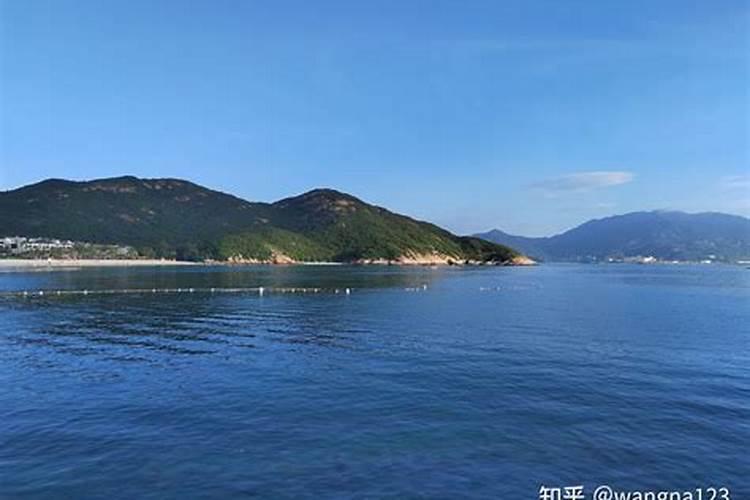 杨梅不能和鱼一起吃