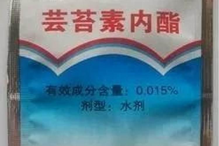芸苔素和赤霉素有什么区别
