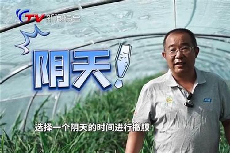 大姜追肥用什么肥料效果好？