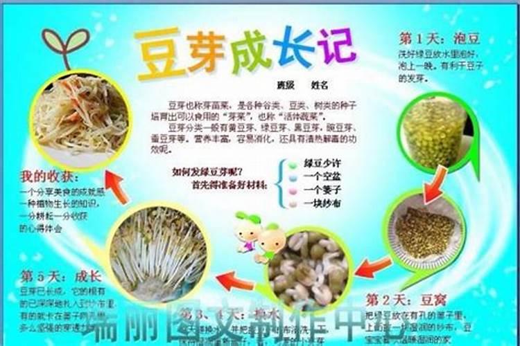 芸豆施肥时间及方法(芸豆施肥时间及方法全解析,让您的芸豆产量更高...