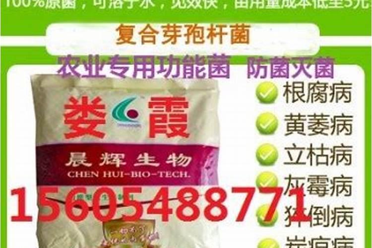 水产上亚抱杆菌能否和腐植酸钠同时混合使用？