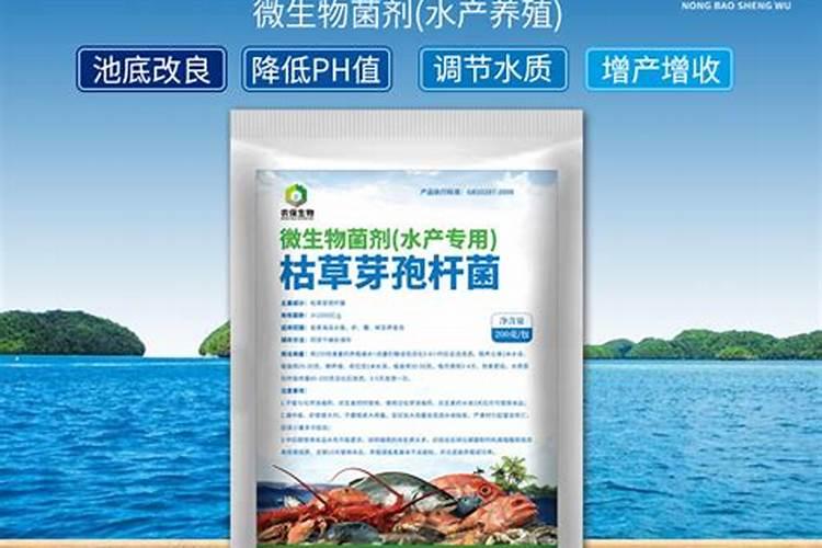 水产养殖水质怎样调节