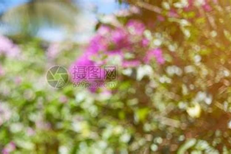 洪河桥镇中心学校举办广播操比赛—七彩阳光、多彩生活、快乐成长百 ...