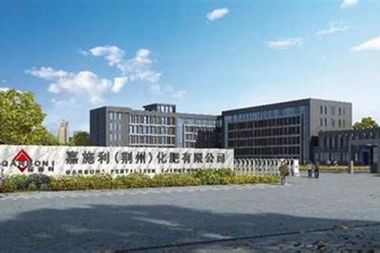 效果好的水溶肥是哪家