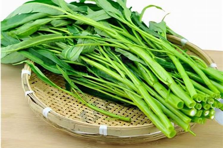 怎样种植空心菜