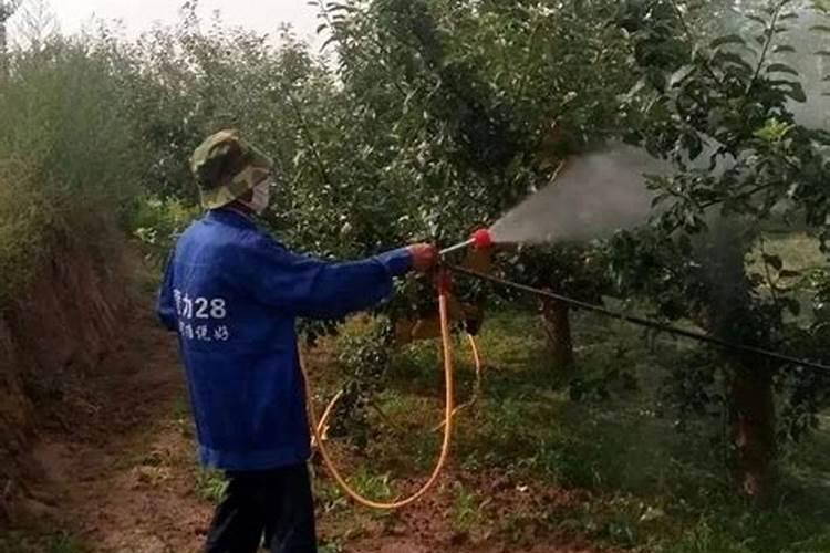 高钾水溶肥什么时候用,在地里几小时见效