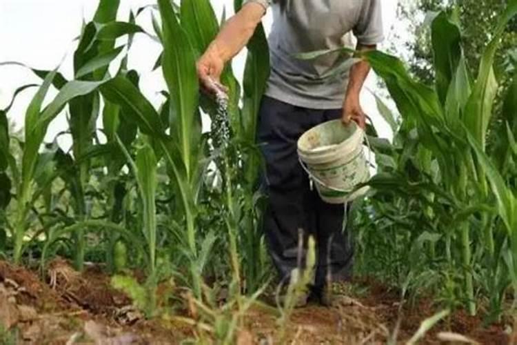 液体氮一亩地喷施多少