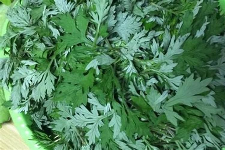 煮过的艾叶能当肥料种菜吗？