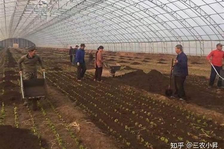 磷肥是农作物的重要肥料之一,怎样施用磷肥才能提高养分利用率？