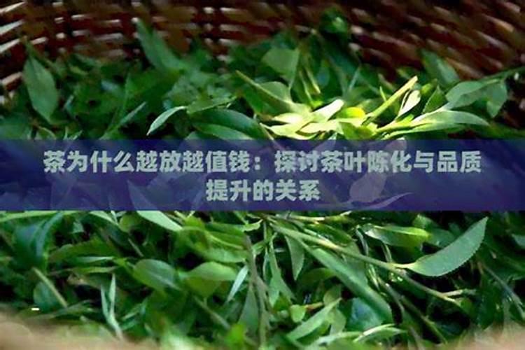 茶叶施什么肥