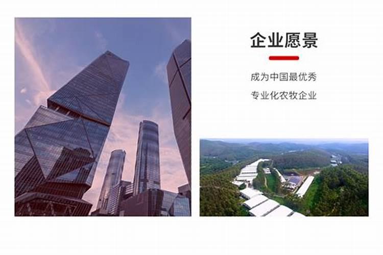 上海中弗新能源科技有限公司怎么样？