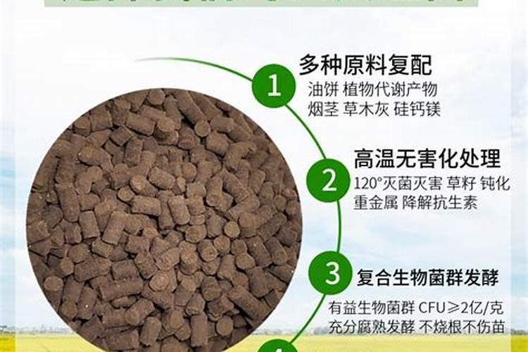 带壳的核桃油饼喂猪好不好