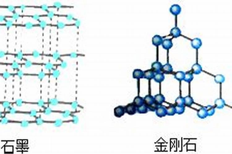 植物需要哪些大量元素？