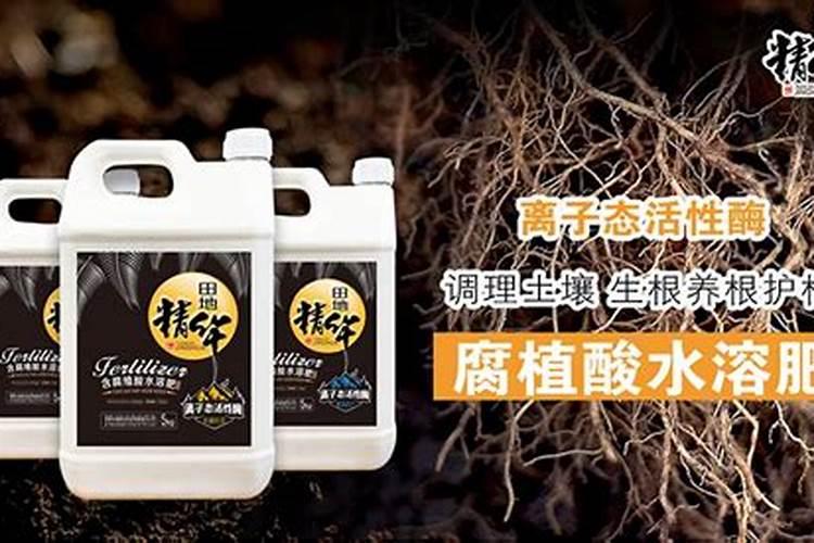 满天星小苗缓苗期间能用生根粉吗？