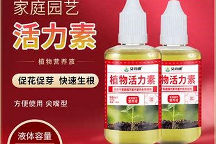 桂花树上什么肥料好