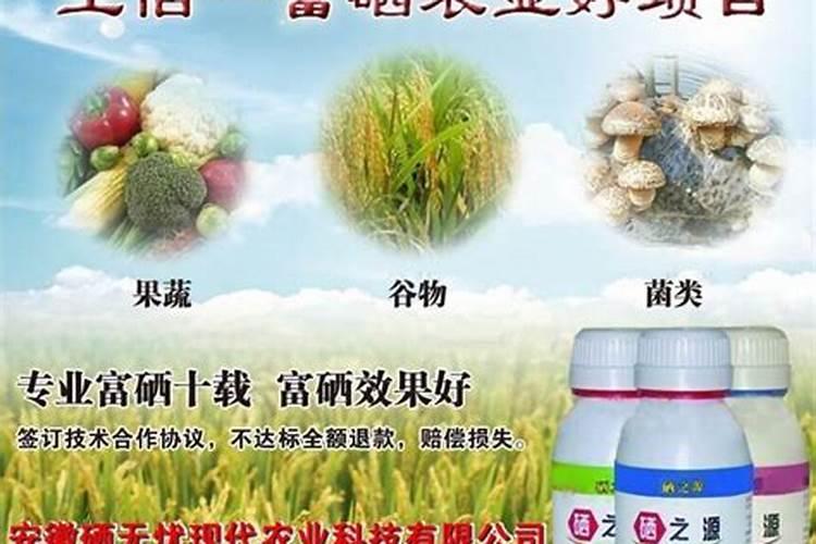 鱼粪便怎么处理