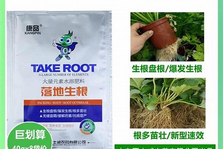 葡萄生根肥淘宝哪个品牌好
