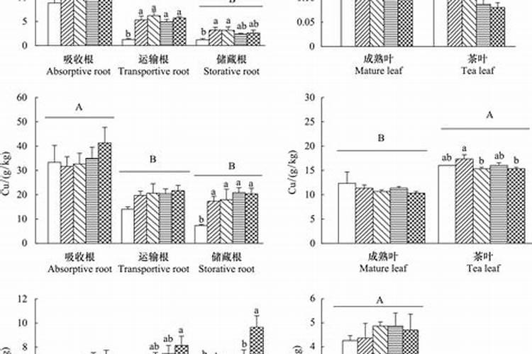 您好!我家的冬枣树树干内有蛀虫怎么防治