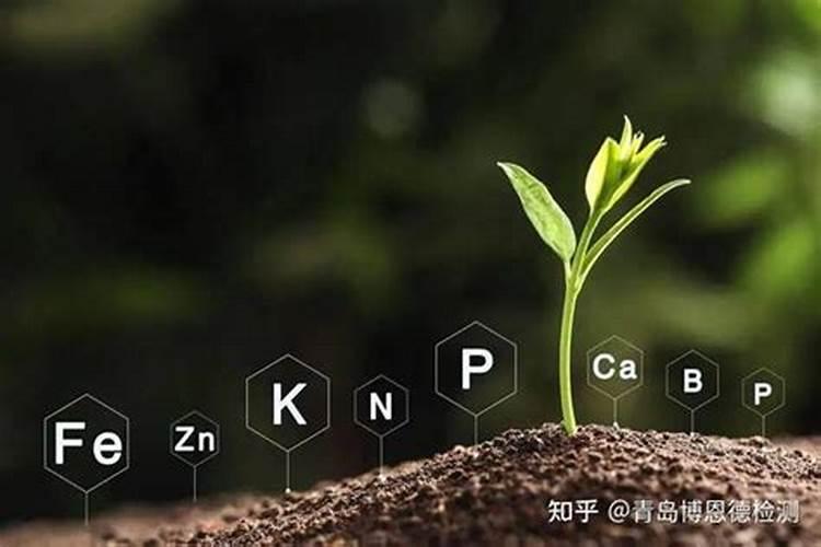 有机质与微量元素有何区别
