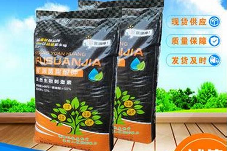 用矿源黄腐酸钾浇蓝莓可以吗