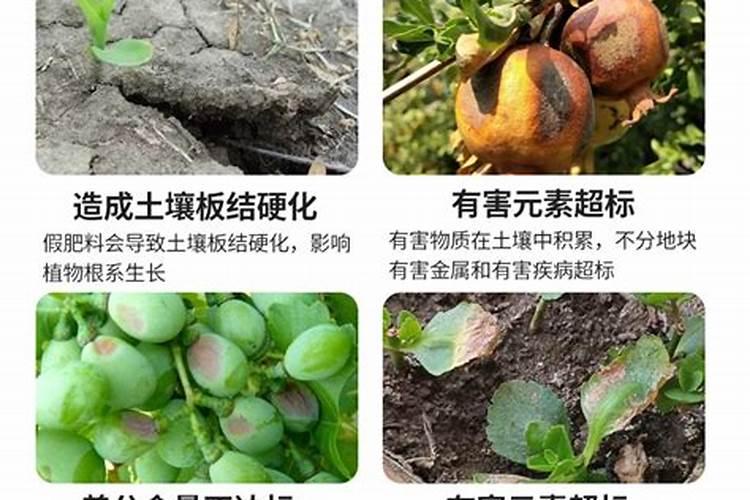 家庭花卉如何施肥？