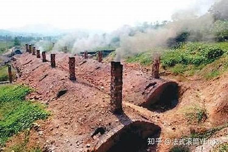 大姜能用云苔素内脂么？