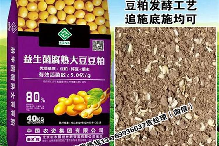 山东豆之缘生物科技有限公司怎么样啊？