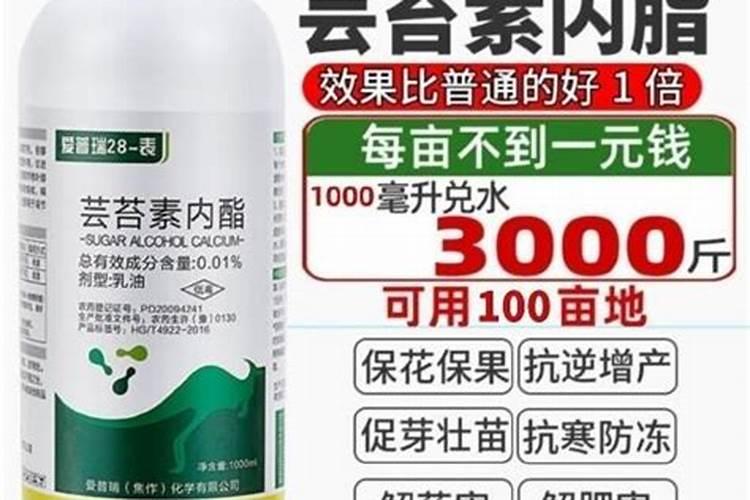 芸苔素对植物生长有什么作用？