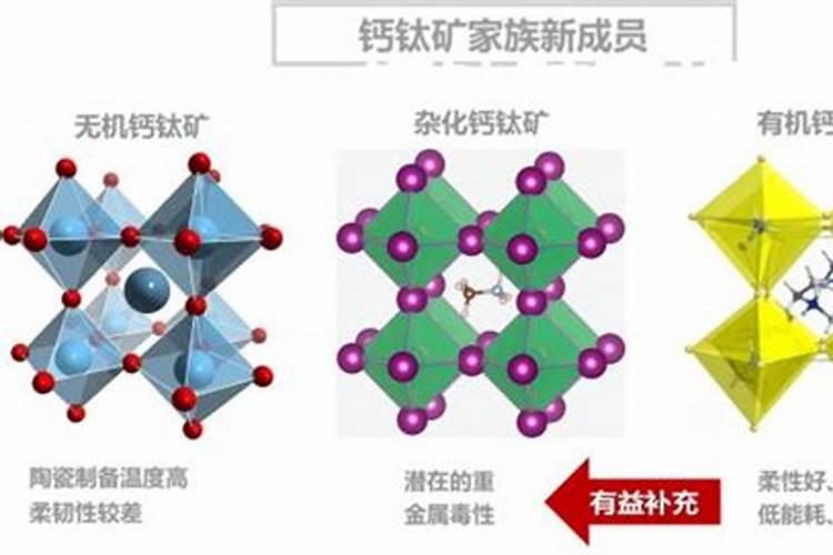 西葫芦挂不住果是什么原因