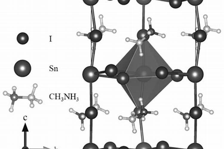 如何让果树生长的更好怎样改善果树