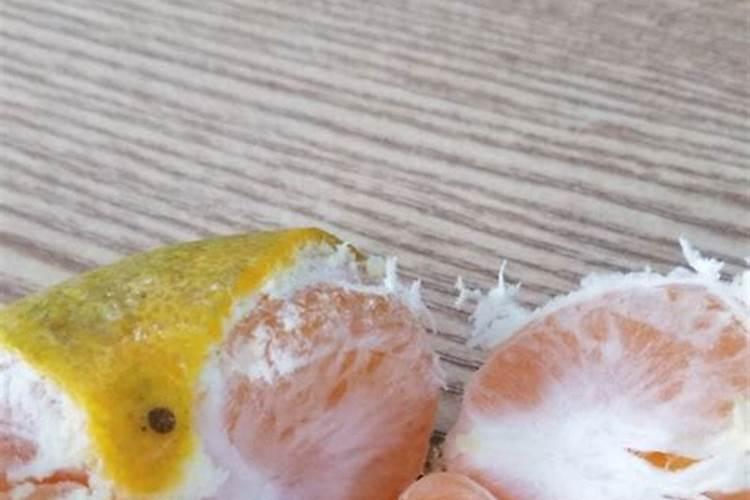 橘子皮是磷肥还是钾肥