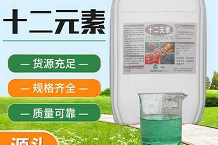 佛手开花后怎么留住果