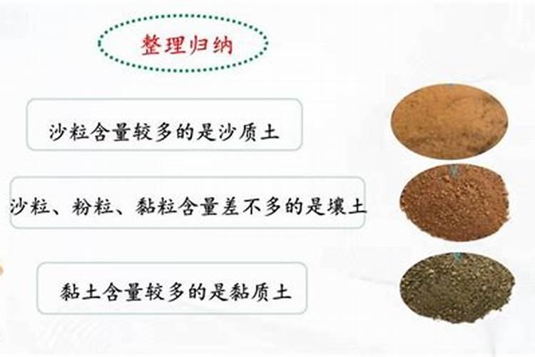 大棚蔬菜常用肥料有哪些