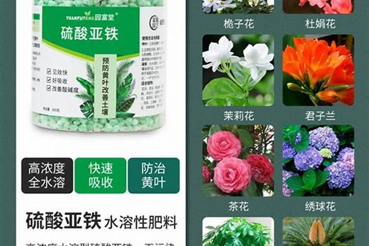 磷酸二氢钾适合哪些花使用