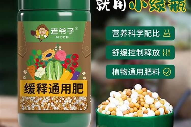 夏季兰花的用肥方法 施肥注意事项
