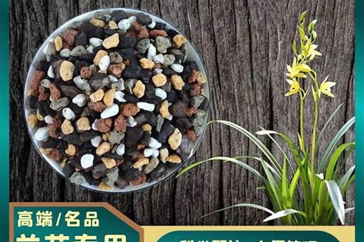 兰花缓释肥的使用与花盆大小有关系吗