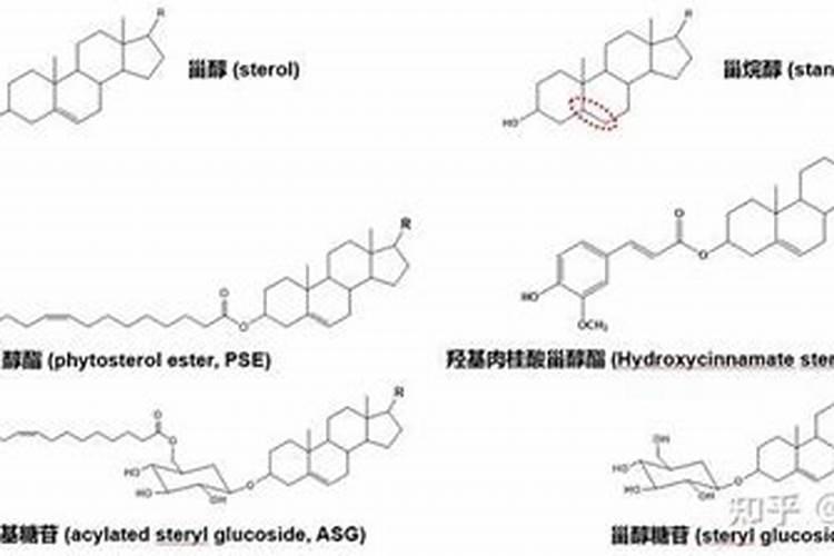 14羟基芸苔素甾醇与芸苔内酯区别
