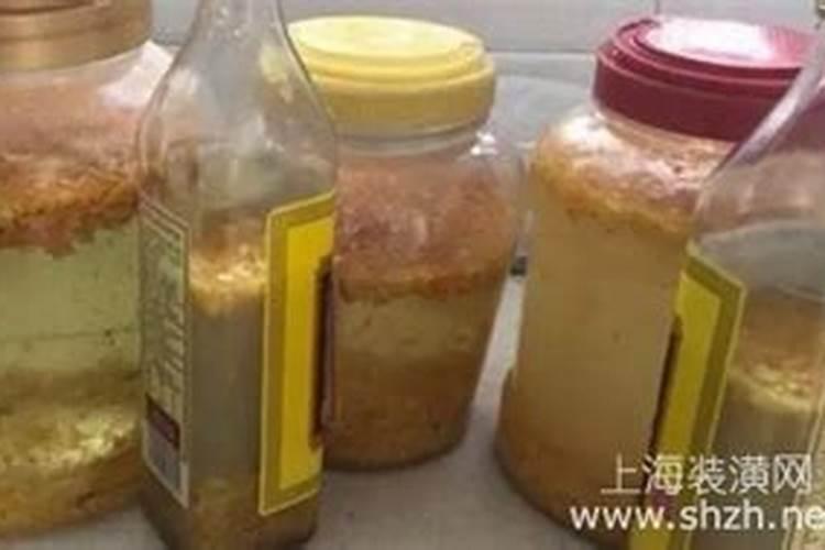 柑橘皮养花的好处是什么呢,需要注意什么呢？